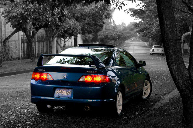 Went out for a small shoot today 