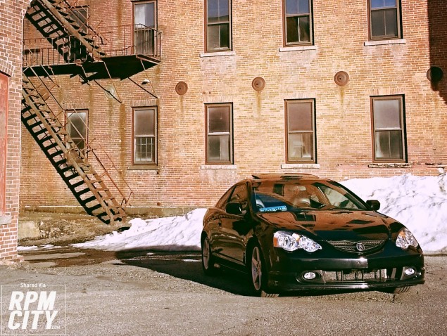 Just had a bath, needed to show her off! 