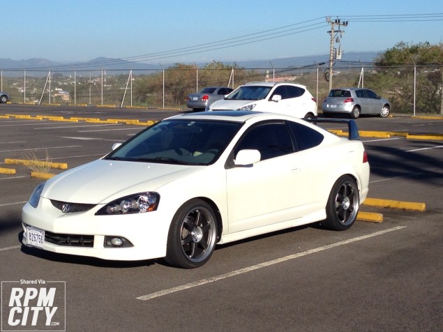 My Frankie from Costa Rica - image 1